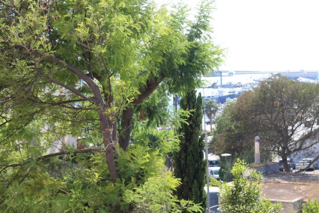 Junto Al Mar En Rosas, Puig Rom Nuevo, Wifi, Tranquilidadアパートメント エクステリア 写真